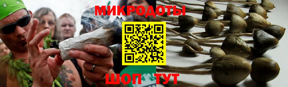 Кунгур  Галлюциногенные грибы Psilocybine cubensis  Вход с VPN 